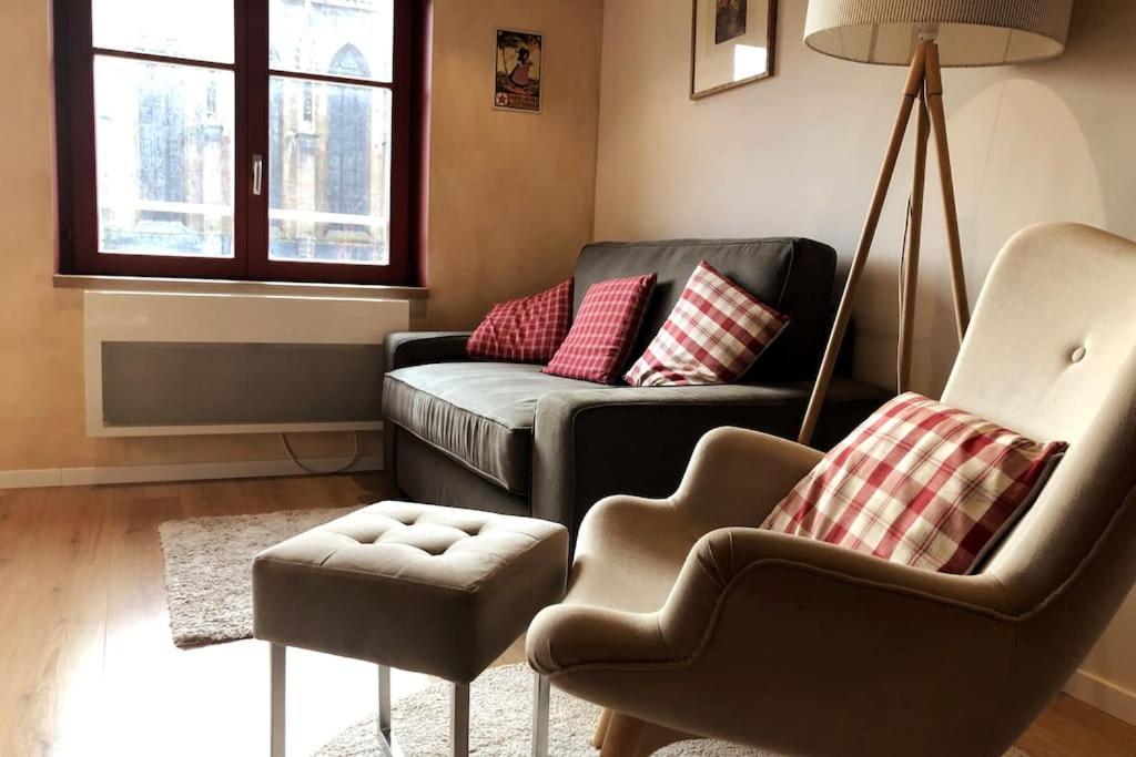 B'M Yerri - Appartement 4 Pers - Vue Cathedrale Colmar Buitenkant foto